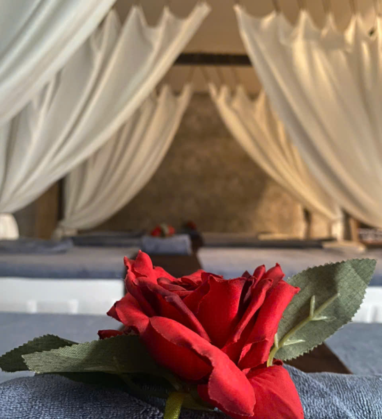 Mẫu Rèm Spa Nhẹ Nhàng – Giải Pháp Tạo Không Gian Thư Giãn Chuẩn Spa